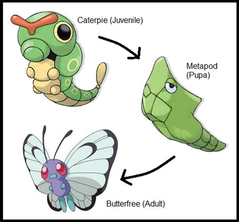 evolution of butterfree